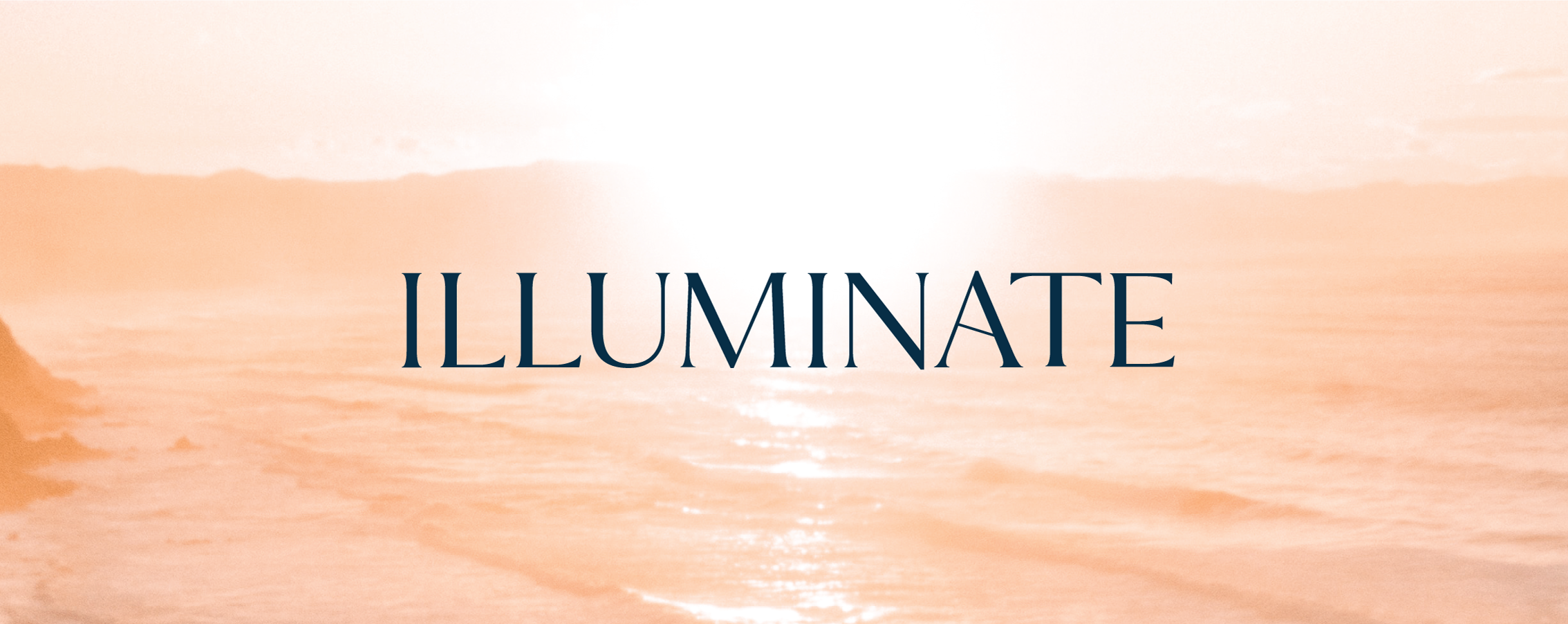 Illuminate Cohort